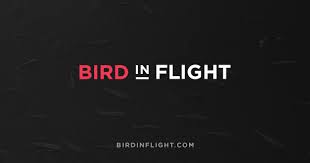 ÐšÐ°Ñ€Ñ‚Ð¸Ð½ÐºÐ¸ Ð¿Ð¾ Ð·Ð°Ð¿Ñ€Ð¾ÑÑƒ birdinflight.com