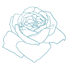 White Rose Aqua Cremation - Home | Facebook