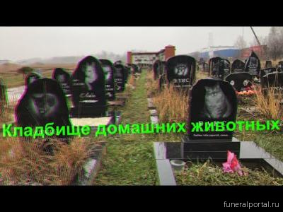 «Спи спокойно, наш комочек»: прогулка по единственному в Москве кладбищу для животных